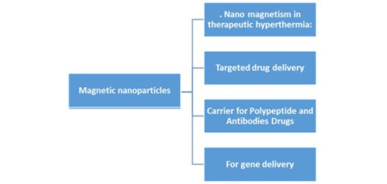 Magnetic nanoparticles - a promising tool for targeted drug delivery system 