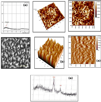 Synthesis and Characterization of Noble Metal Nanowires by Electrodeposition in Porous Anodic Alumina Membranes 